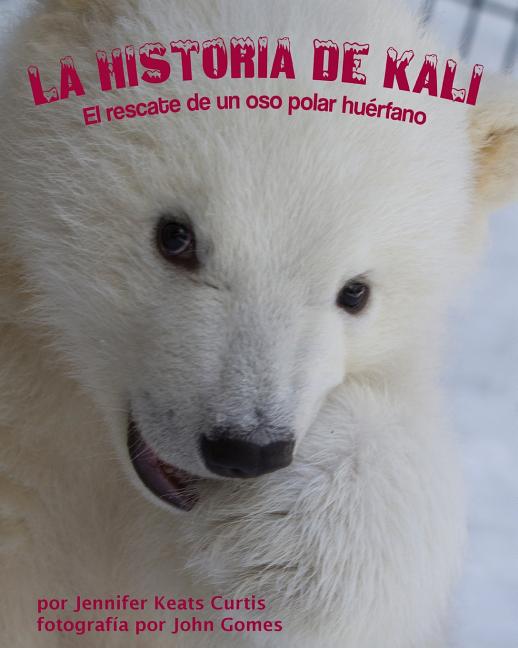 La historia de Kali: El rescate de un oso polar húerfano