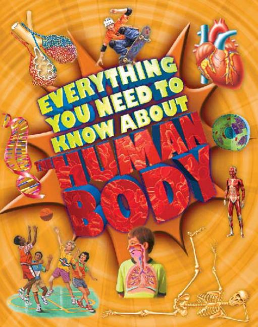 Everything You Need to Know about the Human Body