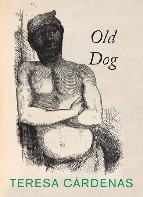 Old Dog