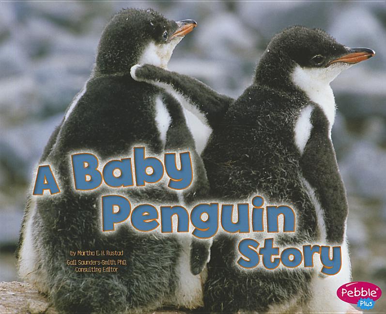 A Baby Penguin Story