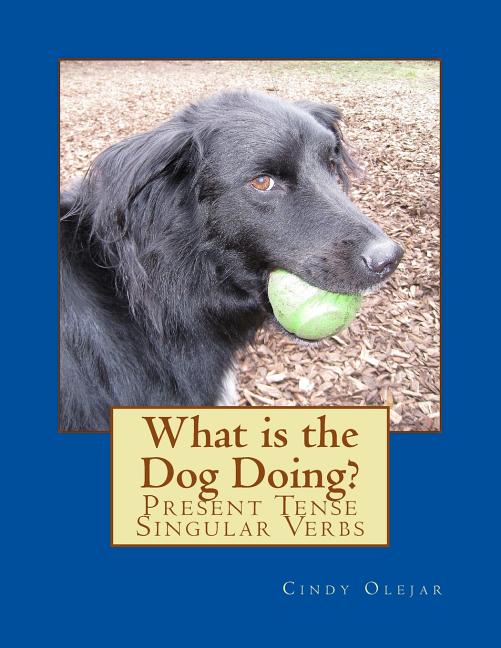 What Is the Dog Doing?: Present Tense Singular Verbs
