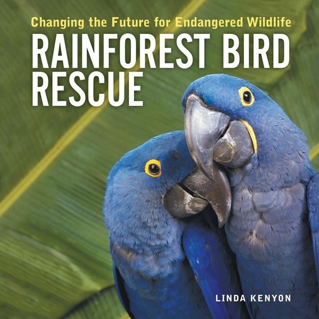 Rainforest Bird Rescue: Changing the Future for Endangered Wildlife