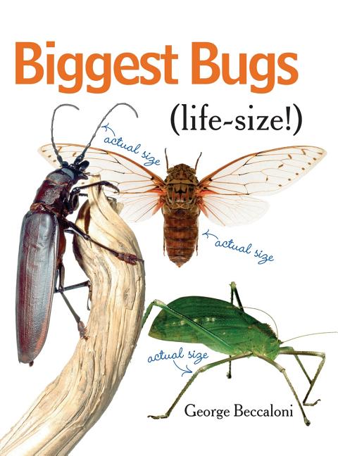 Biggest Bugs Life-Size