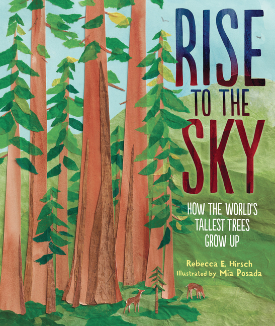 Rise to the Sky: How the World's Tallest Trees Grow Up