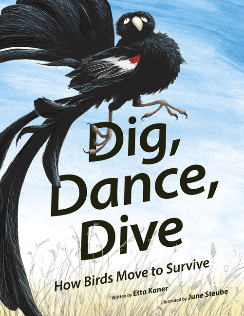 Dig, Dance, Dive: How Birds Move to Survive