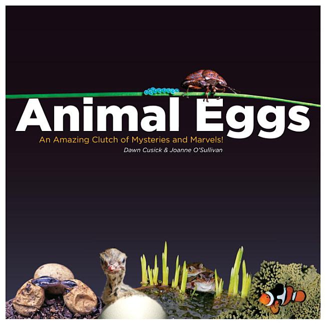 Animal Eggs: An Amazing Clutch of Mysteries & Marvels!