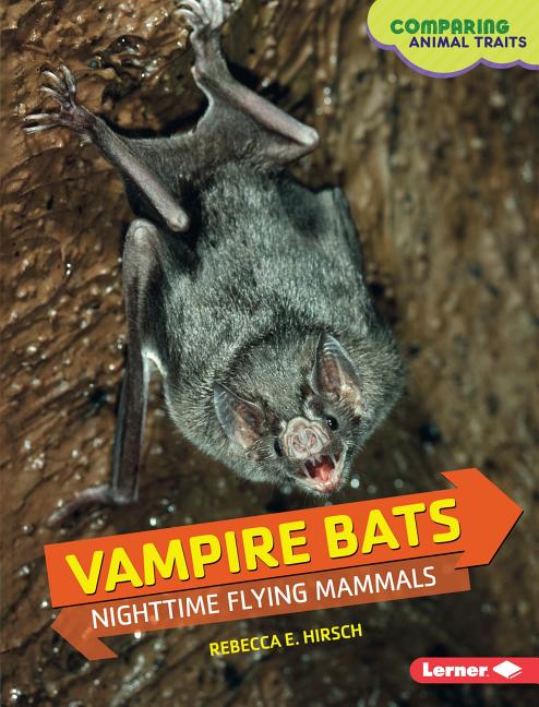 Vampire Bats: Nighttime Flying Mammals