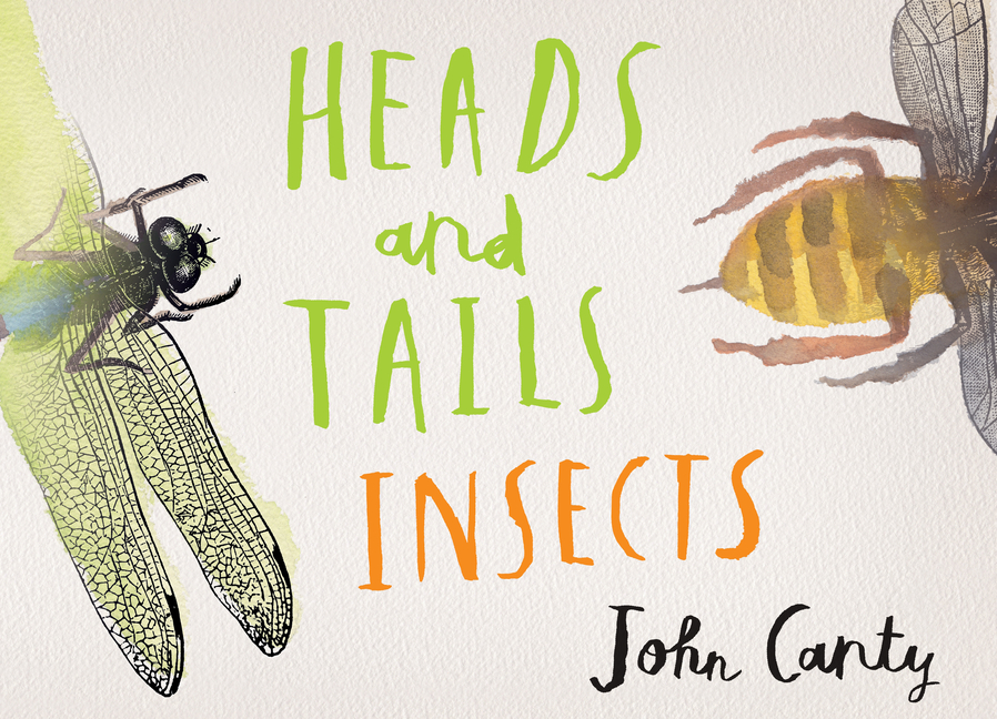 Heads and Tails: Insects