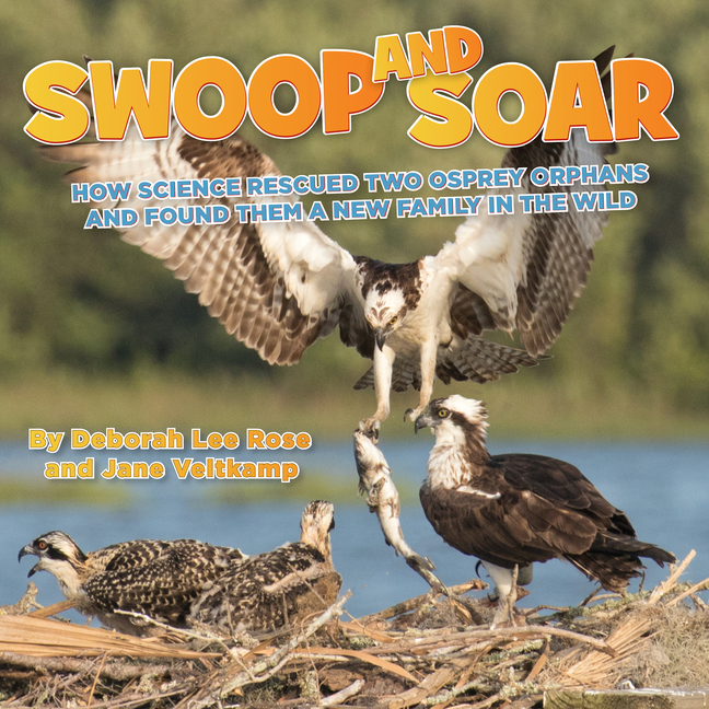 Swoop and Soar: How Science Rescued Two Osprey Orphans and Found Them a New Family in the Wild