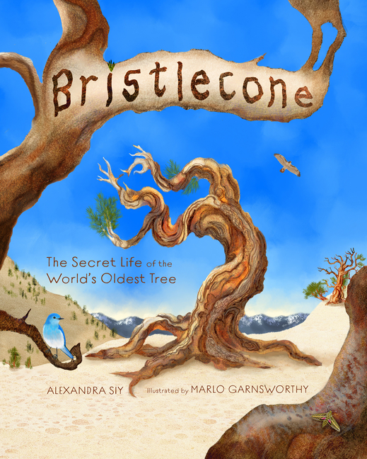 Bristlecone: The Secret Life of the World's Oldest Tree