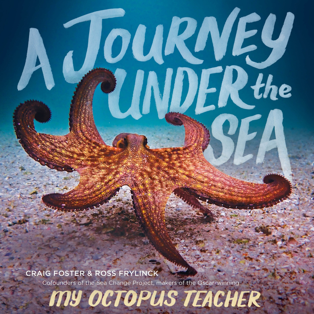 Journey Under the Sea, A