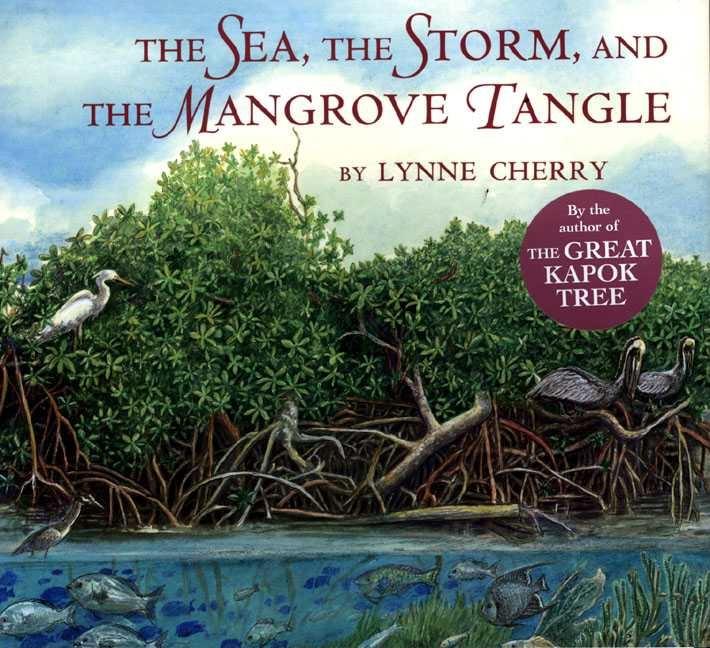 The Sea, the Storm and the Mangrove Tangle