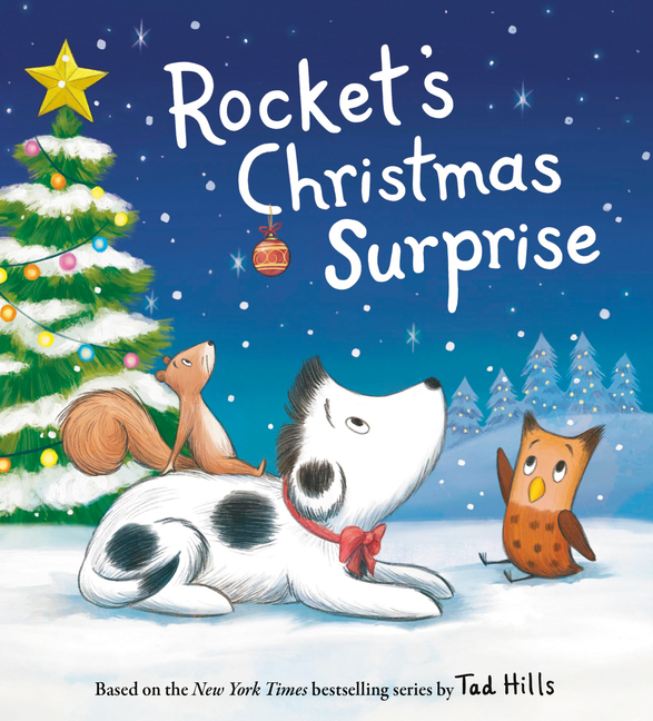Rocket's Christmas Surprise