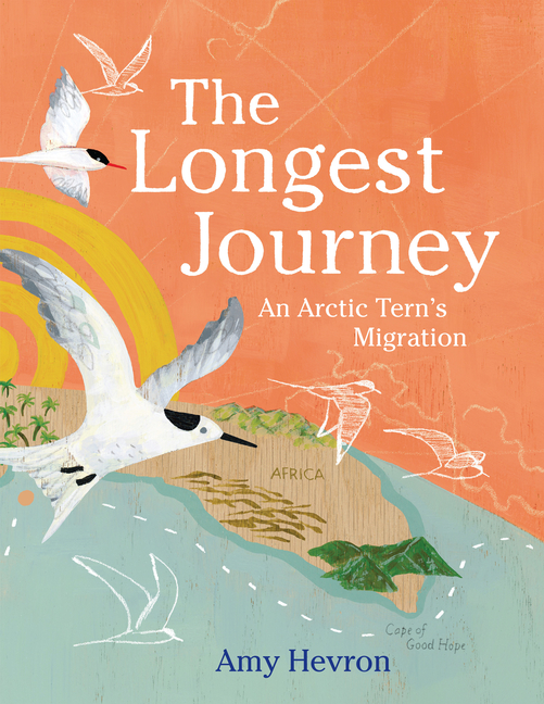 Longest Journey, The: An Arctic Tern's Migration