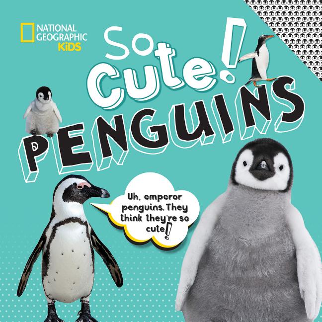 So Cute!: Penguins
