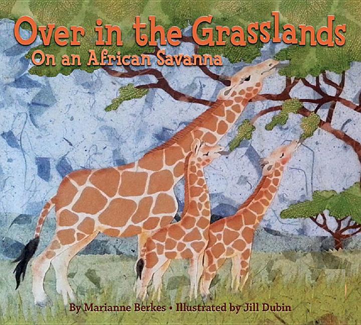 Over in the Grasslands: On an African Savanna