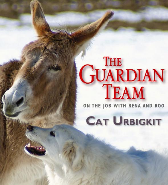 Guardian Team: On the Job with Reena and Roo