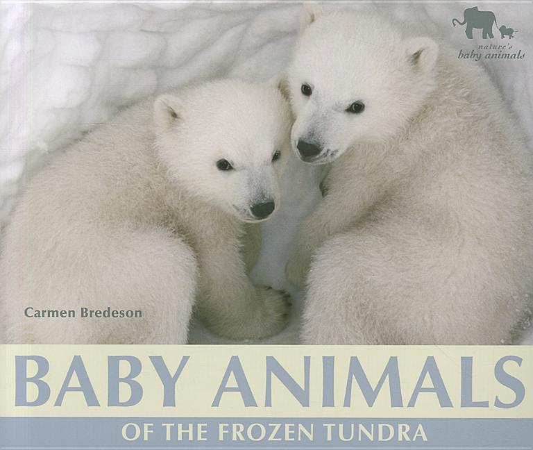 Baby Animals of the Frozen Tundra