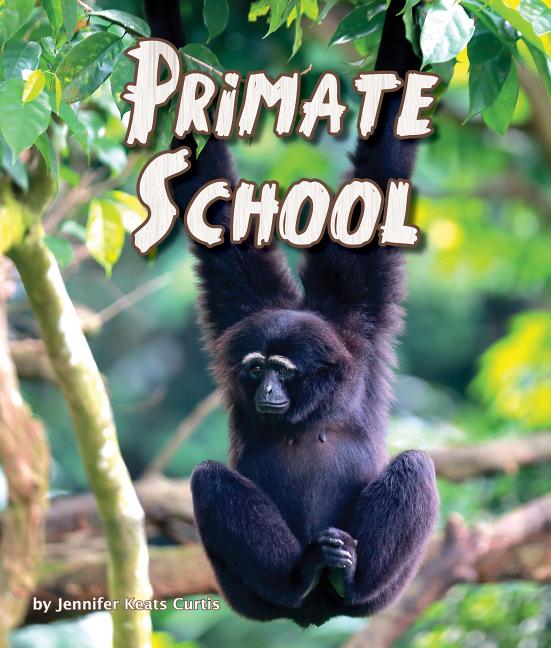 Primate School