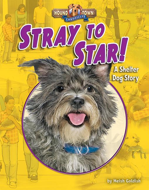 Stray to Star!: A Shelter Dog Story