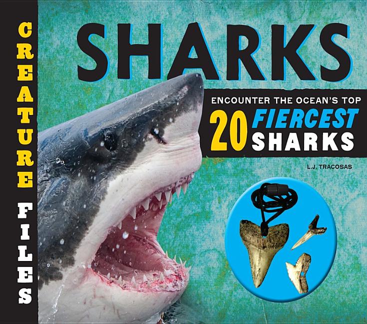 Sharks: Encounter the Ocean's Top 20 Fiercest Sharks
