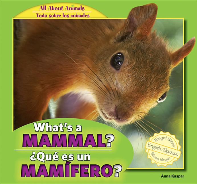 What's a Mammal? / Que Es Un Mamifero?