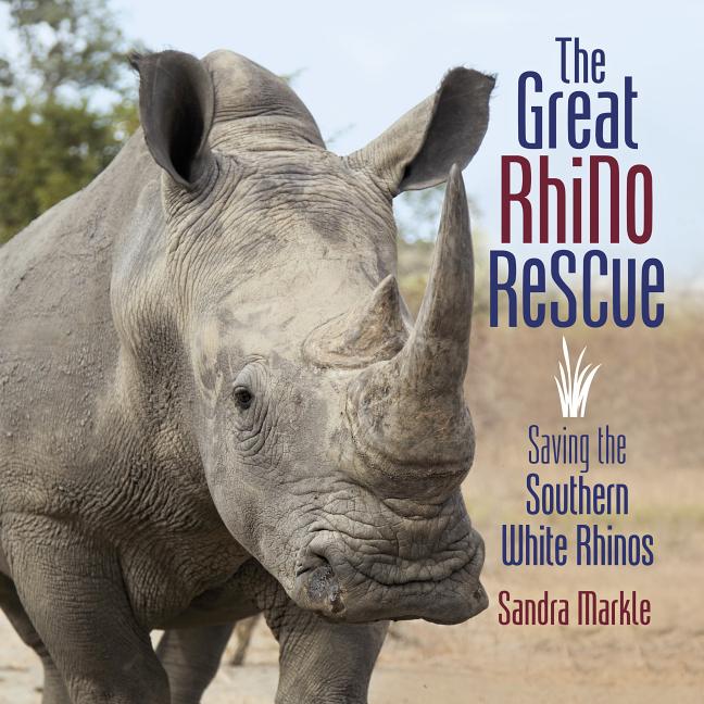 The Great Rhino Rescue: Saving the Southern White Rhinos