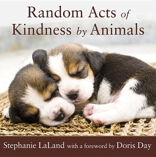 Random Acts of Kindness by Animals