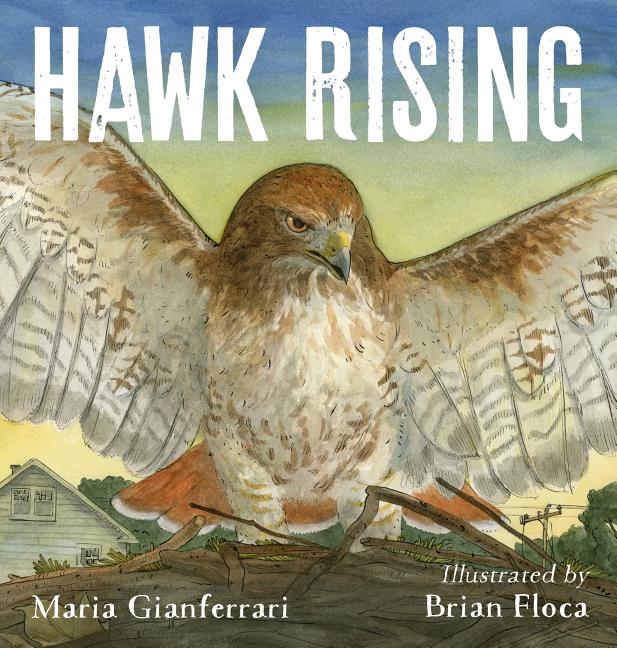 Hawk Rising