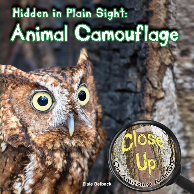 Hidden in Plain Sight: Animal Camouflage