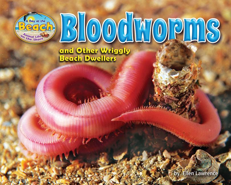 Bloodworms and Other Wriggly Beach Dwellers