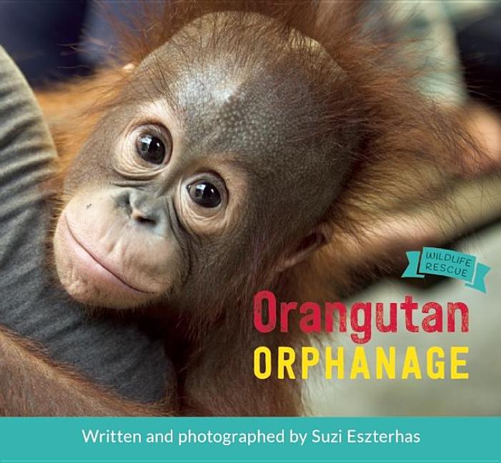 Orangutan Orphanage