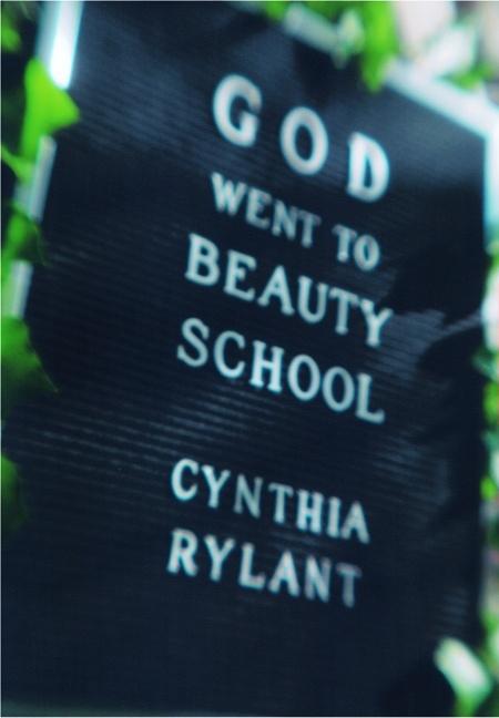 God Went to Beauty School