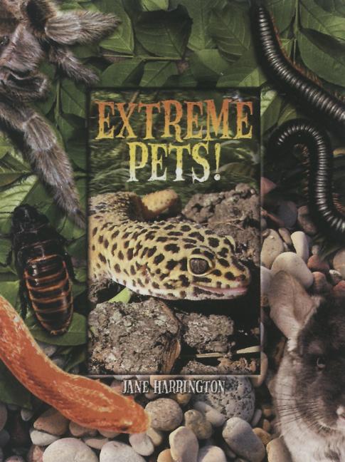 Extreme Pets
