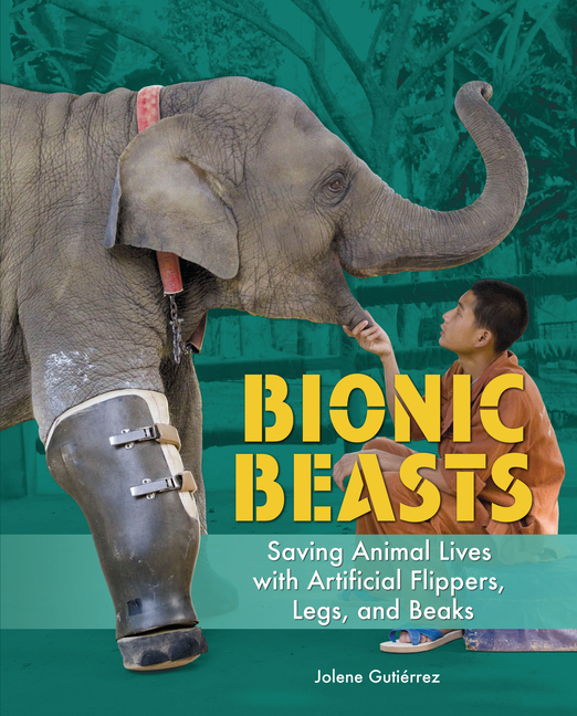 Bionic Beasts: Saving Animal Lives with Artificial Flippers, Legs, and Beaks