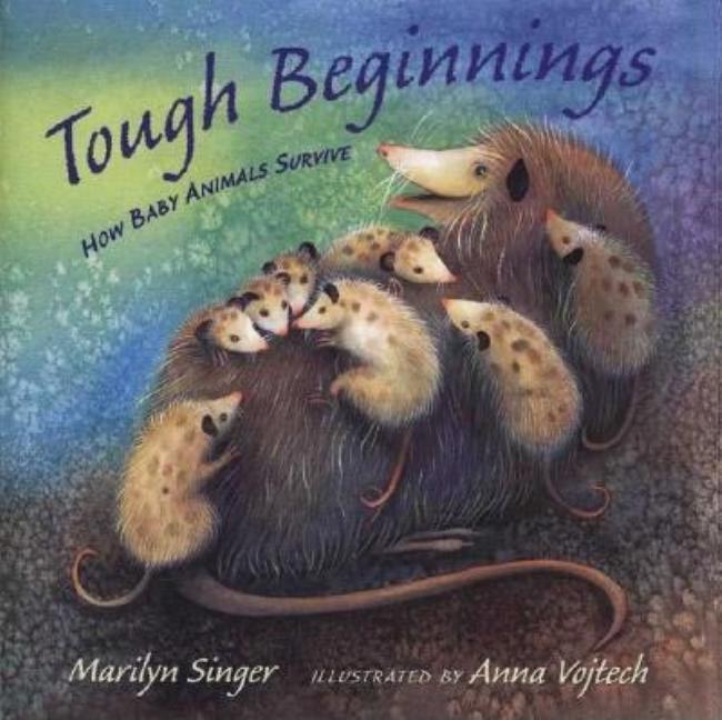 Tough Beginnings: How Baby Animals Survive