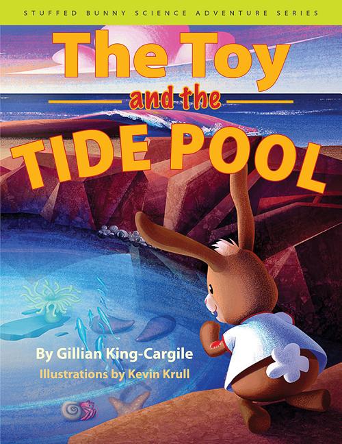 The Toy and the Tide Pool