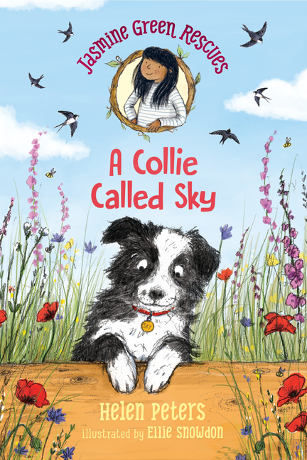 A Collie Called Sky