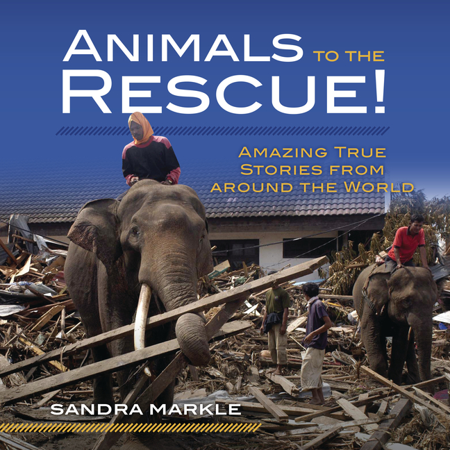 Animals to the Rescue!: Amazing True Stories from Around the World