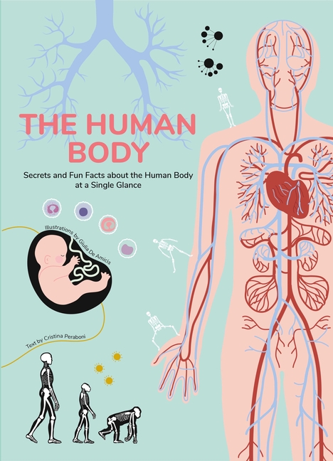The Human Body Mysteries Explained: An Illustrated Parts of the Body Book for Kids
