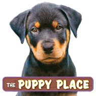 Series: Puppy Place
