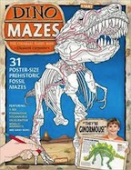 Dinomaze: Colossal Fossil Maze Book