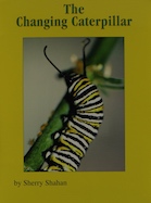 The Changing Caterpillar
