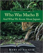 Who Was Macho B and What We Know About Jaguars