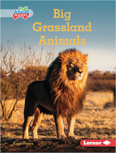 Big Grassland Animals