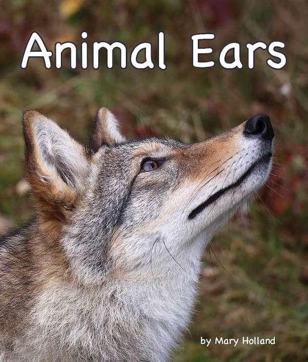 Animal Ears