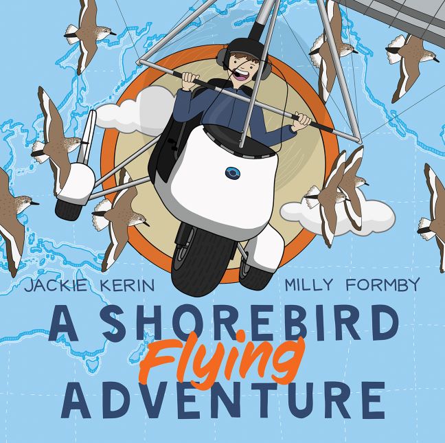 Shorebird Flying Adventure, A